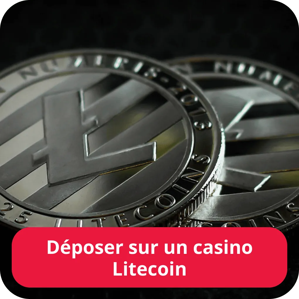 Dépôt Litecoin