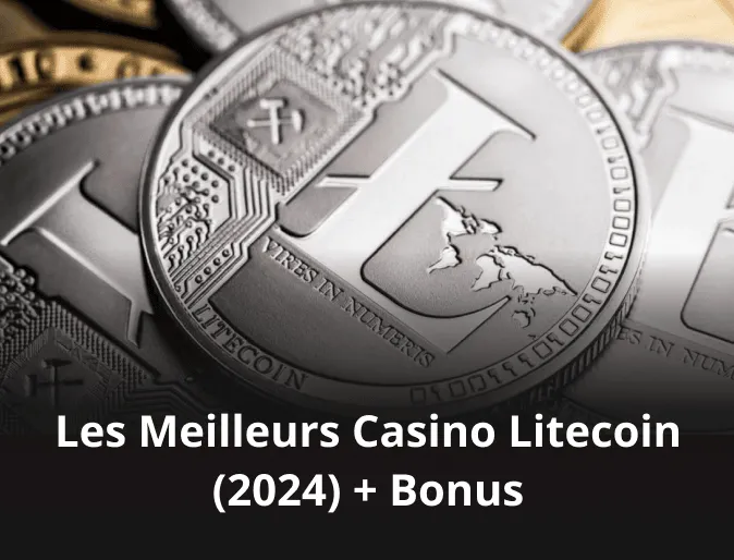 Les Meilleurs Casino Litecoin (2024) + Bonus